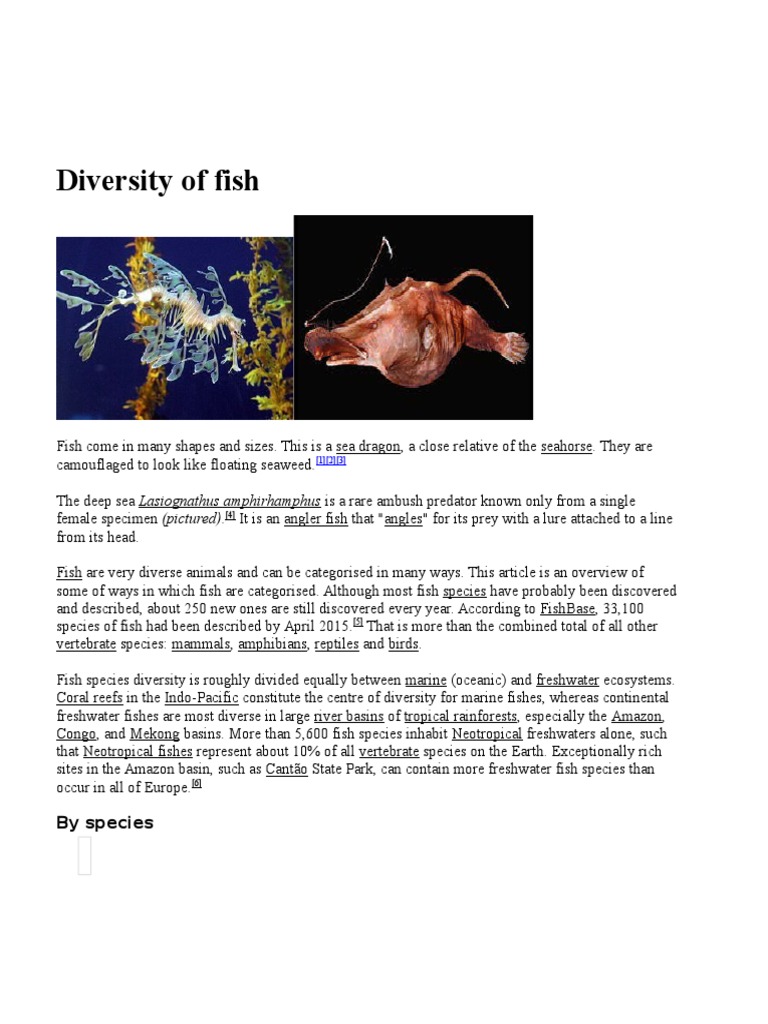What Is The Diversity Of Fish? – ASEOD