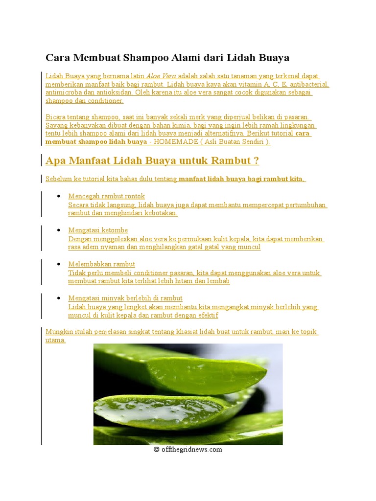 Cara Membuat Shampoo Alami Dari Lidah Buaya | PDF