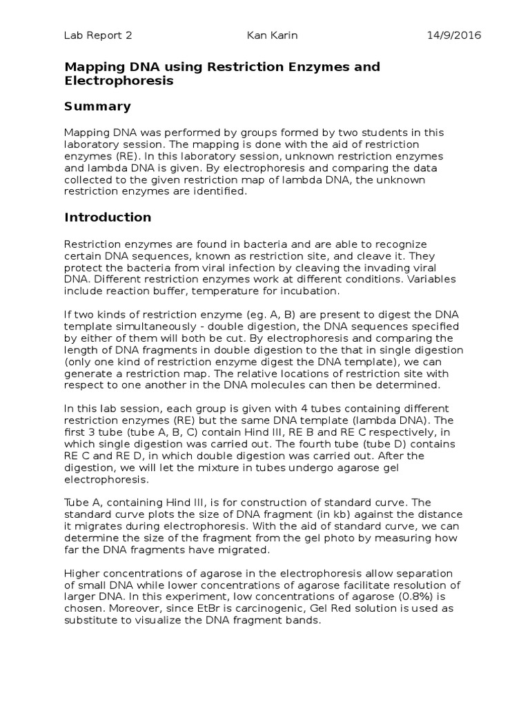Lambda DNA Restriction Mapping Lab | PDF | Agarose Gel Electrophoresis ...