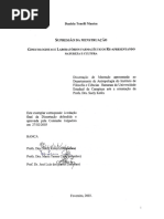 ManicaDanielaTonelli.pdf