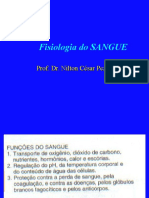 Fisiologia do Sangue em