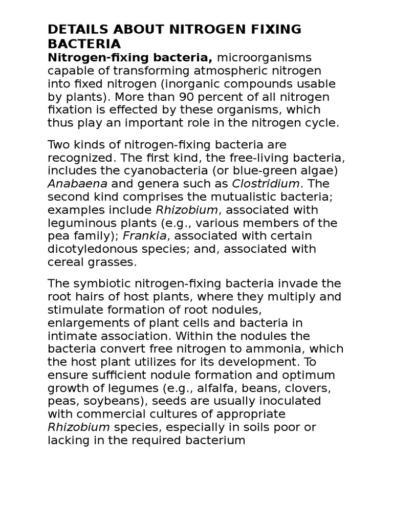 Understanding Nitrogen-Fixing Bacteria | PDF