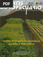 Cultivo Protegido e Hidroponia (2)