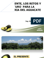 7. Los Retos Presentes y Frutos Para La Industria Del Aguacate Por Ing. Héctor Guillén León APEAM