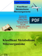 Klasifikasi Metabolisme Mikroorganisme