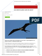 ¿Cómo Logran Las Aves Dormir en Pleno Vuelo Sin Caerse_ - BBC Mundo