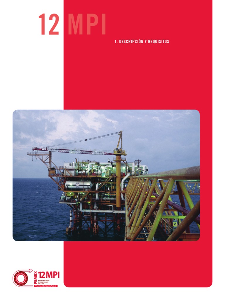 Descripción y Requisitos 12MPI | PDF | Liderazgo | Sustentabilidad