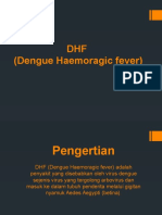 DHF (Dengue Haemoragic Fever)