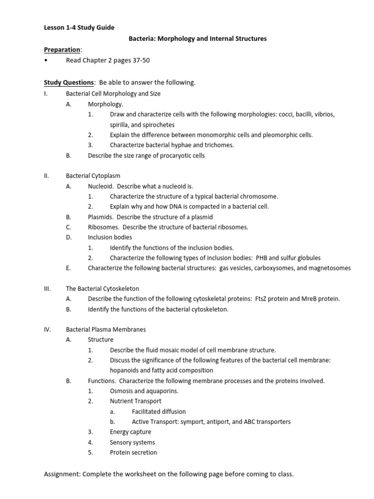 Bacterial Morphology and Structures Guide | PDF | Bacteria | Cell (Biology)