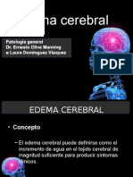 Edema Cerebral