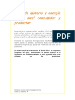 Flujo de Materia y Energía en El Nivel Consumidor y Productor