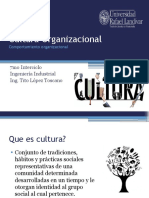 20 Cultura Organizacional