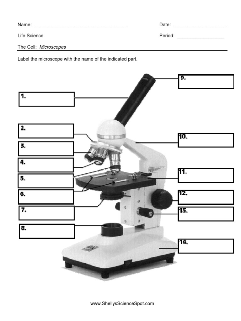 Name Date Life Science Period The Cell Microscopes Label The Microscope With The Name