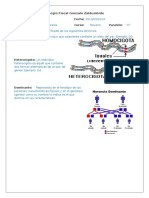 Terminos de Biologia