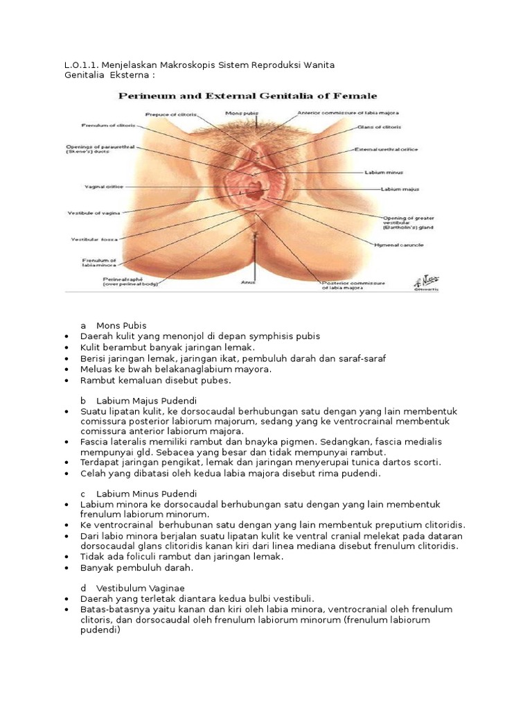 Porno: Olti kishilik sikish