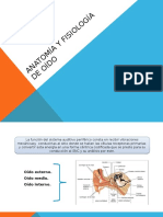 Anatomia de Oido