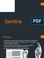 Dentina