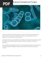 Fungos - Biosom.pdf