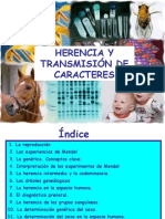 T2 HERENCIAYTRANSMISION DE CARACTERES.ppt