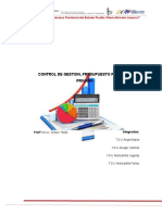 Control de Gestion y Presupuesto Público y Privado