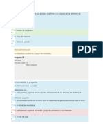 Estado de resultados y flujo de caja