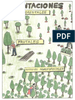 Manual Del Machete Verde - Plantaciones Forestales Frutales
