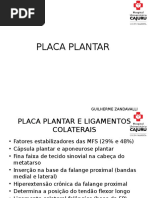 Artigo - Placa Plantar