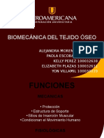 Diapositivas Modelo Biomecanica Del Hueso