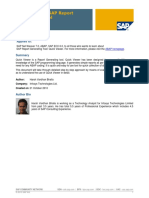Quick Viewer SAP Report Generating Tool.pdf