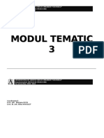 Modul Tematic 3