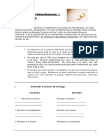 La Importancia de La Consejeria Prematrimonial