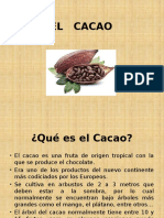 El Cacao