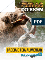 Cadeia e Teia Alimentar