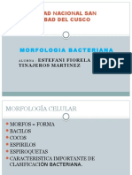 mrofologia bacteriana.pptx
