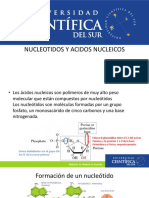 NUCLEOTIDOS Y ACIDOS NUCLEICOS.pdf