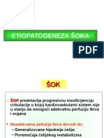 Etiopatogeneza Soka - PPT Beograd