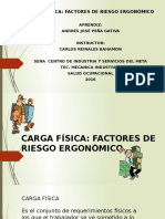 Factores de riesgo ergonómico carga física