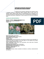 Descripcion de especies vegetales para arbolado urbano.pdf