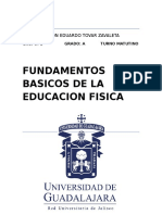 Ensayo Educacion Fisica