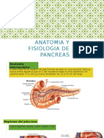 Anatomia y Fisiologia de Pancreasan