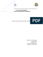 Informe Nº4 de Biotecnología. Inmovilización de Células de Levadura