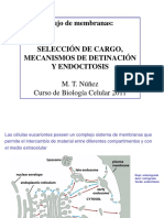 Clase 16 Flujo Vesicular Exocitosis y Endocitosis PDF