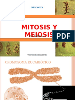 Mitosis y Meiosis GSRFRGFGFF