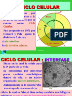 CICLO CELULAR-MITOSIS - MEIOSIS v-OD, 20152.LRM