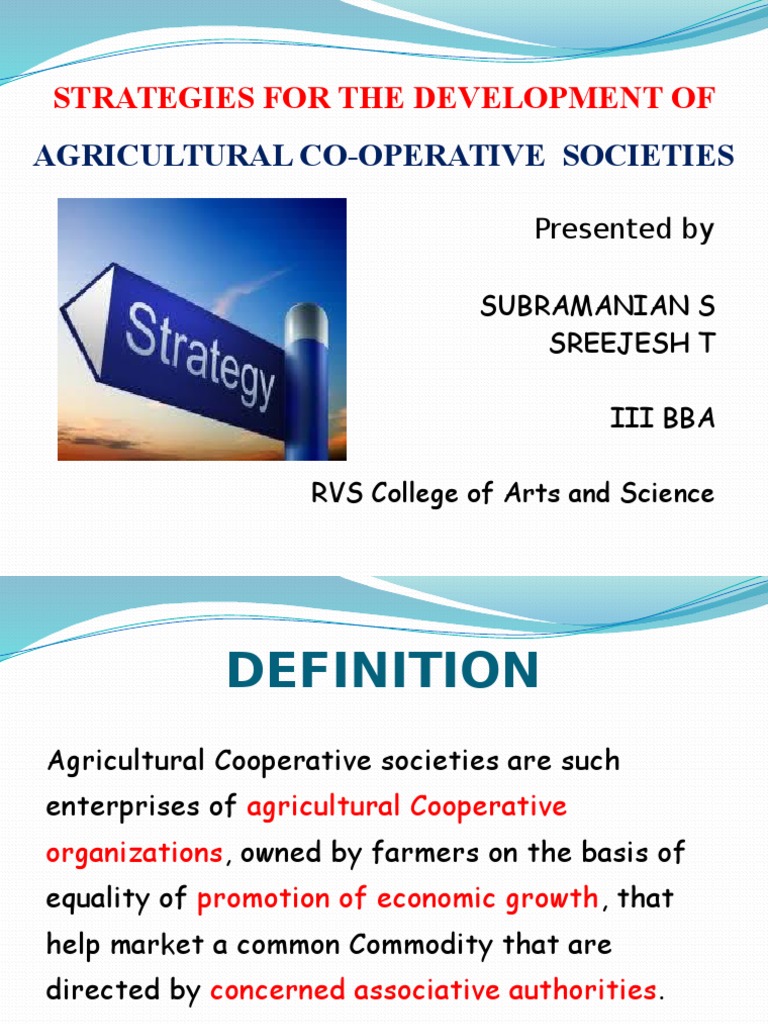 Strategies for Agricultural Cooperatives | PDF
