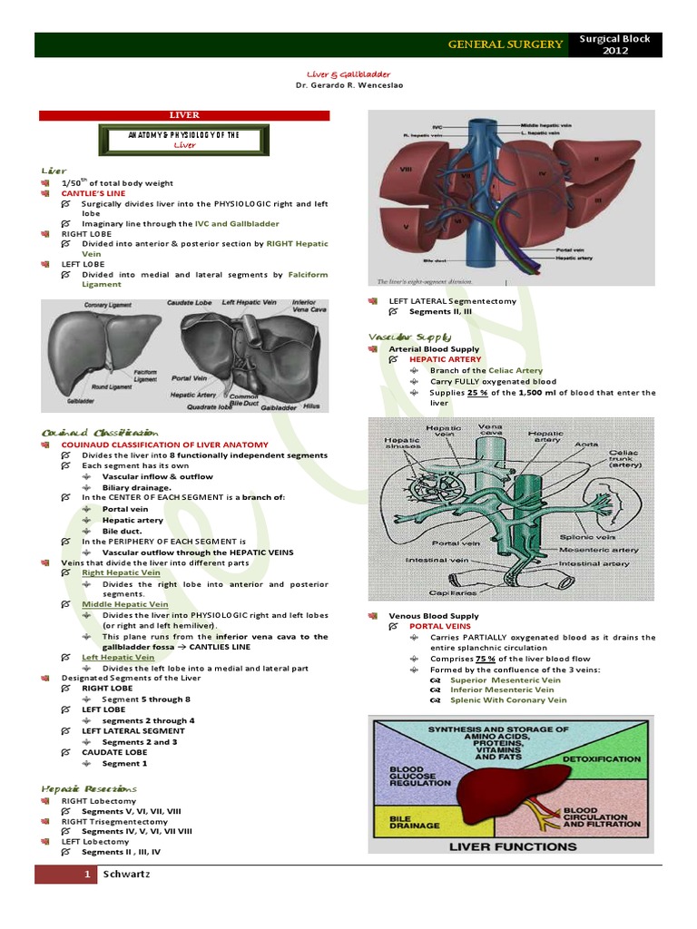 Liver Anatomy and Surgery Guide | PDF | Liver | Gallbladder