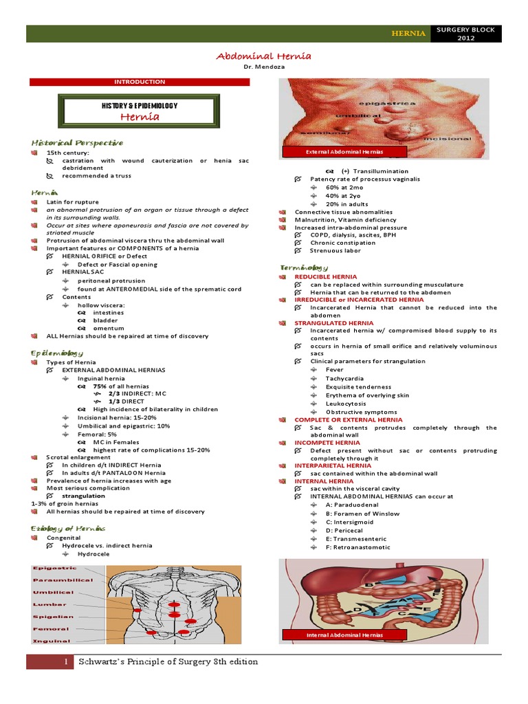 Inguinal Hernia Overview and Diagnosis | PDF | Abdomen