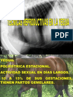 ciclo estral yeguas.pdf