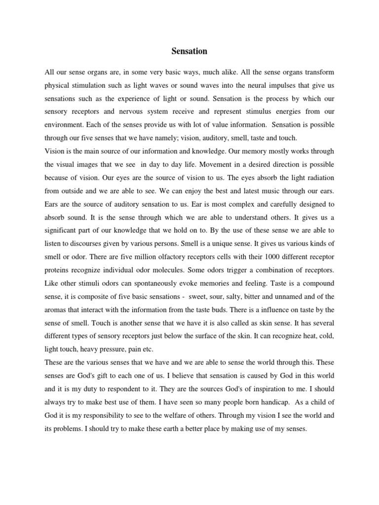 essay on perception