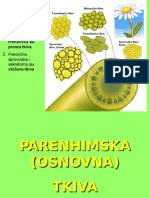 Parenhimska Mehanicka Provodna 2010